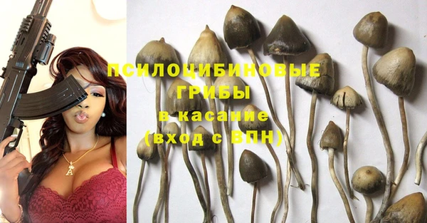 трава Балахна