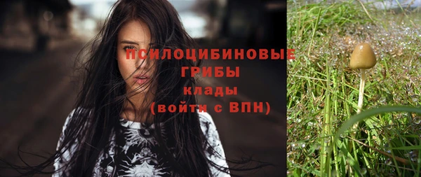 кокс Баксан