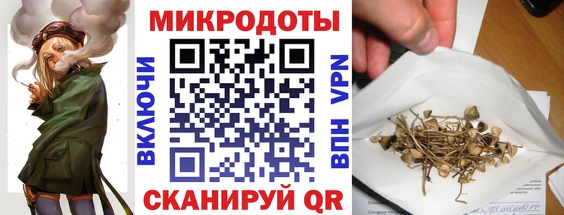 блэк спрут   купить  цена  Бийск  Галлюциногенные грибы GOLDEN TEACHER 
